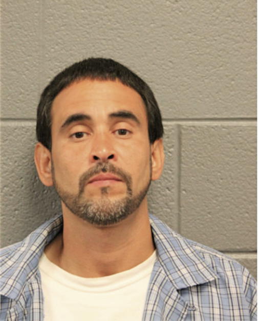 LUIS CARLOS FLORES, Cook County, Illinois