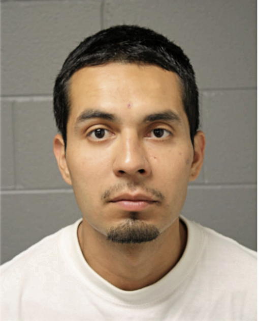 ROBERT GARCIA, Cook County, Illinois