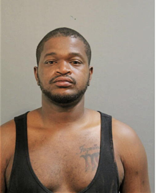 DARIUS J GARNER, Cook County, Illinois