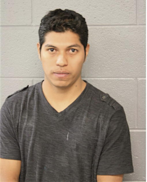 SERGIO GONZALEZ-CASTILLO, Cook County, Illinois