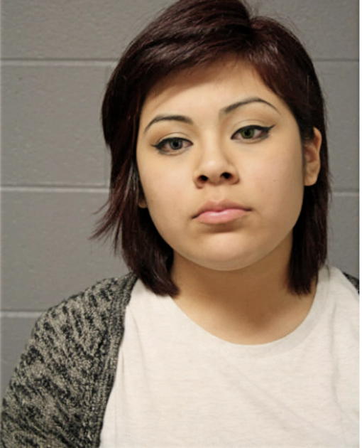 JENNIFER M GONZALEZ, Cook County, Illinois