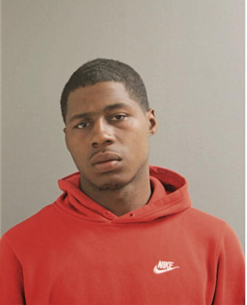 ANDRE N HEARD, Cook County, Illinois