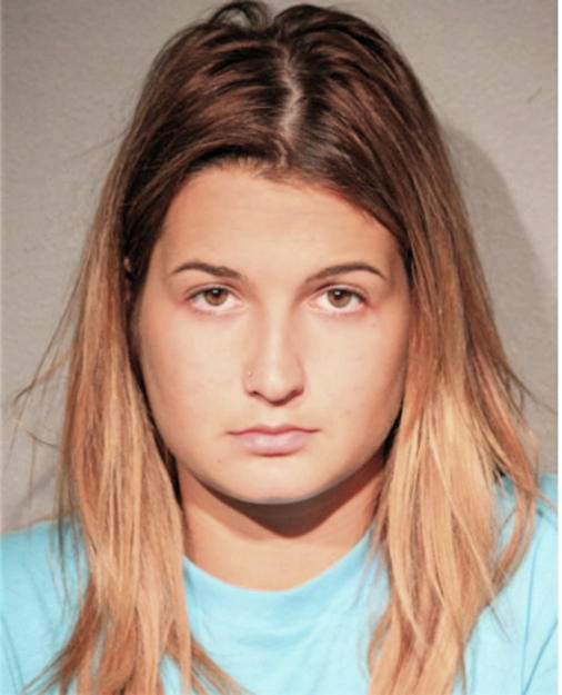 MEGAN L HUDGIN, Cook County, Illinois