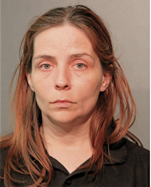 CHRISTIANA S HUMANSKI, Cook County, Illinois