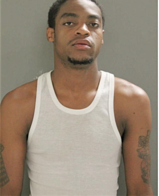 JAMES L JOHNSON, Cook County, Illinois