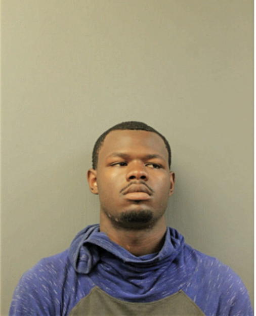 NICHOLAS L JOHNSON, Cook County, Illinois