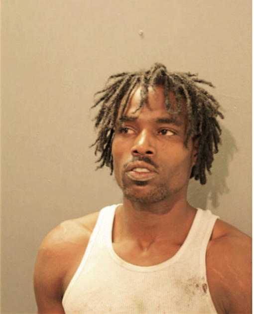 TERRY L KING, Cook County, Illinois