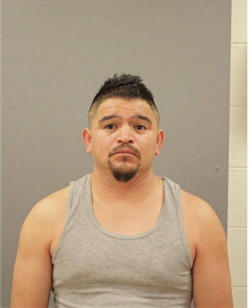 LUIS E LEON, Cook County, Illinois