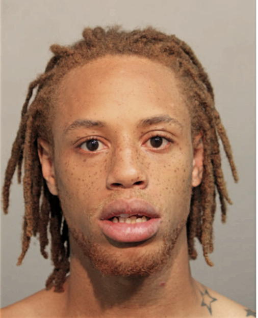 MICHAEL M PURNELL, Cook County, Illinois