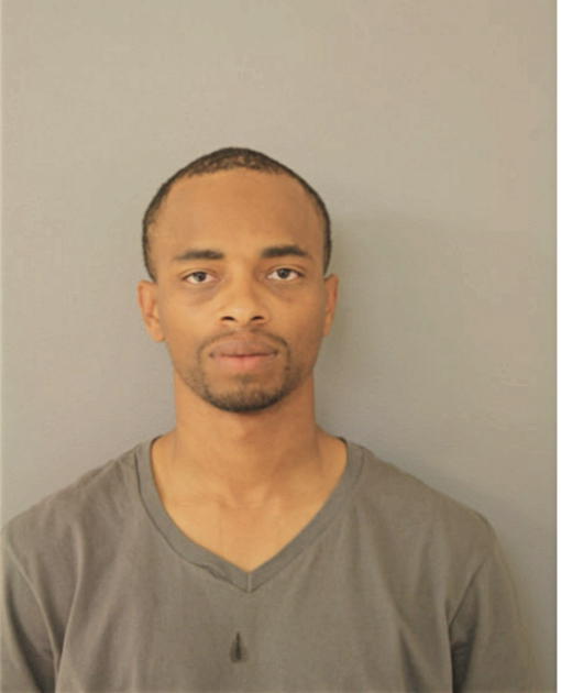 ANDREW L MARTIN, Cook County, Illinois
