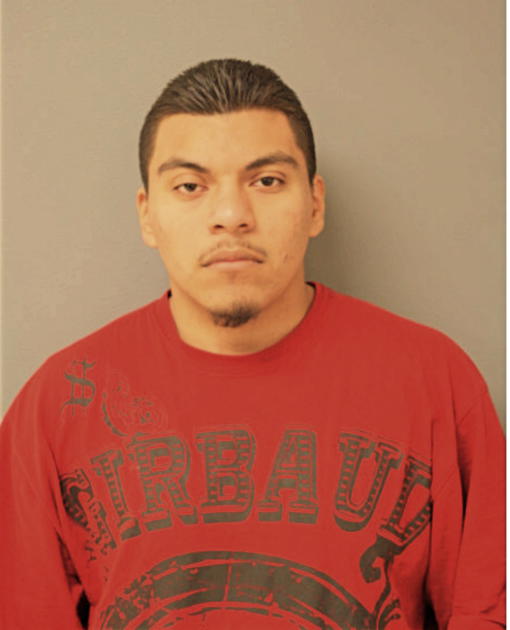 CARLOS E MARTINEZ, Cook County, Illinois