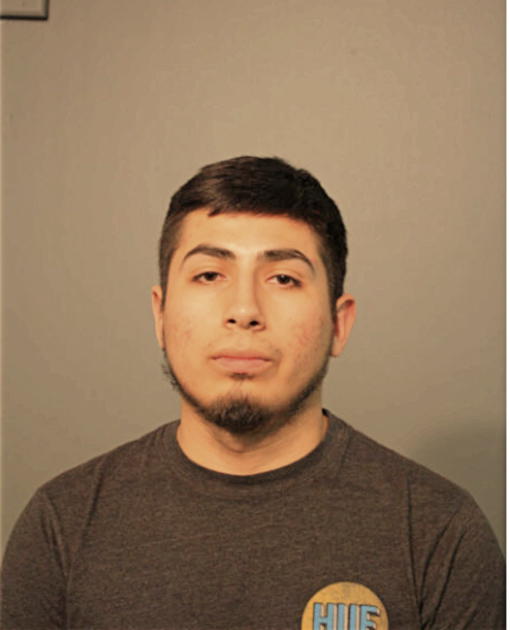 SERGIO G MARTINEZ, Cook County, Illinois