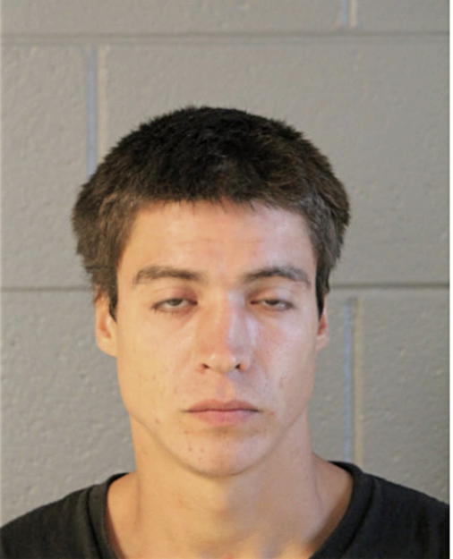 CARLOS M MONTERO, Cook County, Illinois