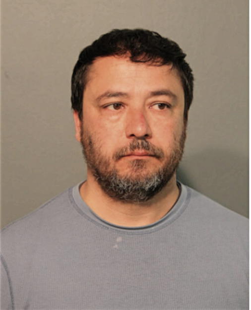 JOSE L PIZARRO, Cook County, Illinois
