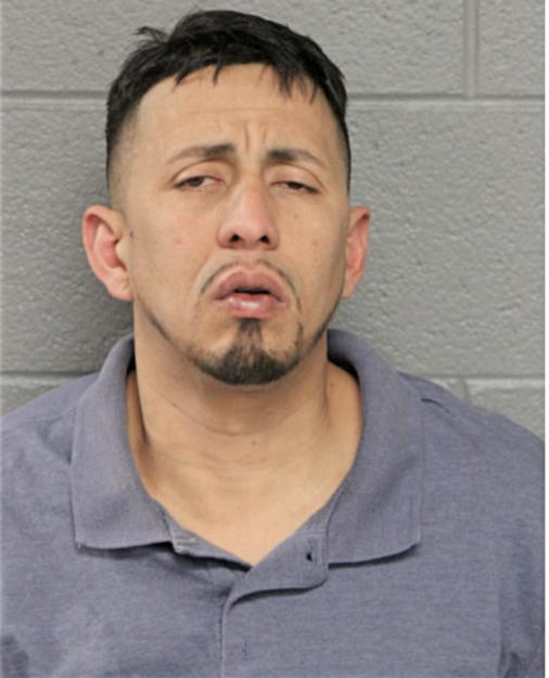 GADIEL A RIVERA RAMOS, Cook County, Illinois