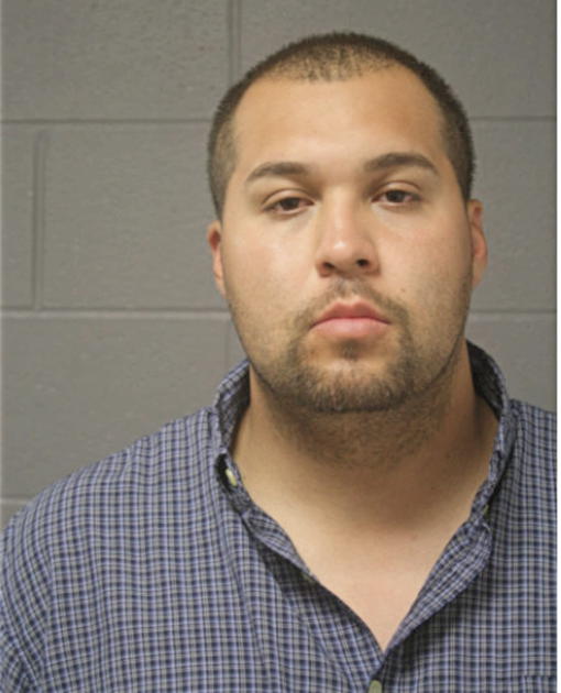 JOSE A SANCHEZ, Cook County, Illinois