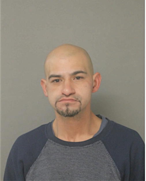 PHILLIP E SEPULVEDA, Cook County, Illinois