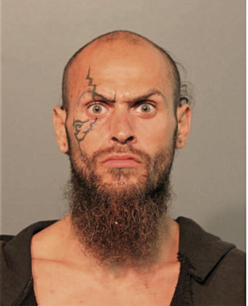 ANDREW G SIMMONS, Cook County, Illinois