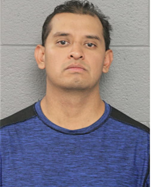 NESTOR D SOTELO, Cook County, Illinois