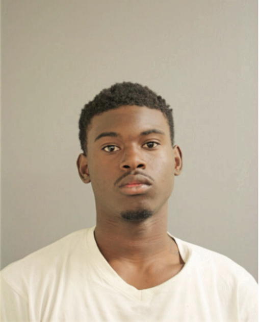 ANDRE J STEPHENS, Cook County, Illinois