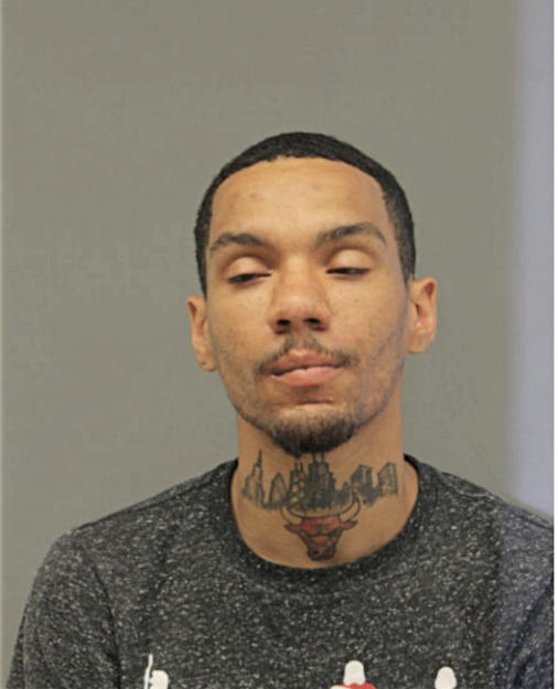 QUINCY Q TAYLOR, Cook County, Illinois