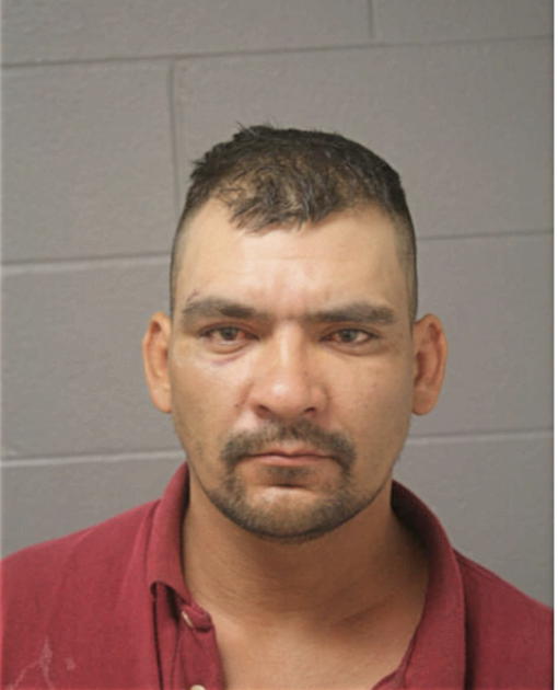 GERARDO VARGAS, Cook County, Illinois