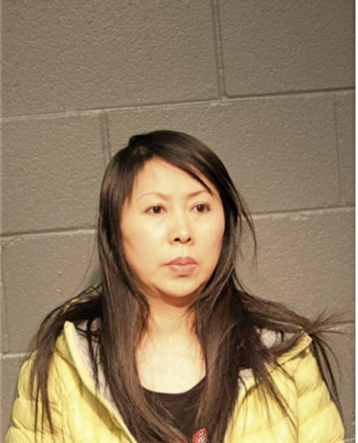 HONGYU WANG, Cook County, Illinois