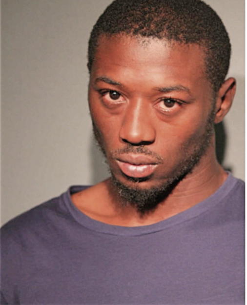 ERIC L WILSON, Cook County, Illinois