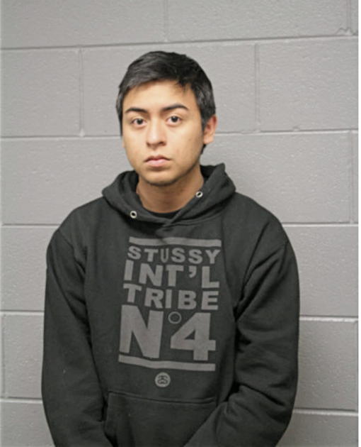BRANDEN J ARROYO, Cook County, Illinois