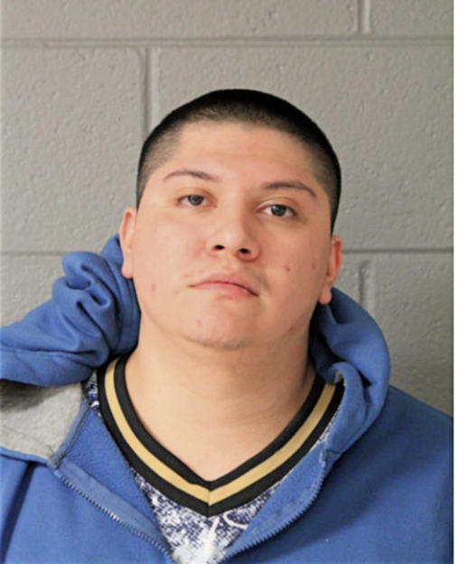 PEDRO A BAHENA, Cook County, Illinois