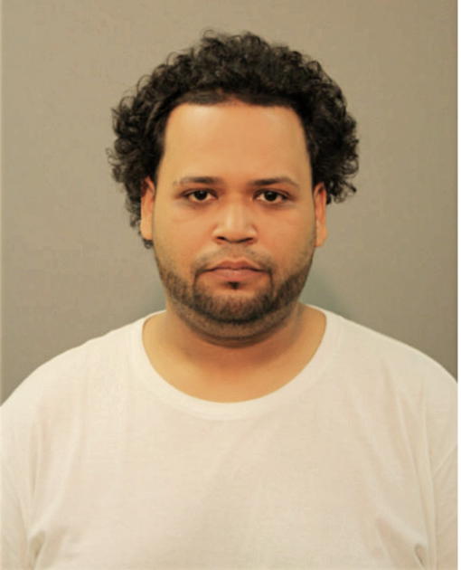 SANTOS MANUEL BORGES, Cook County, Illinois