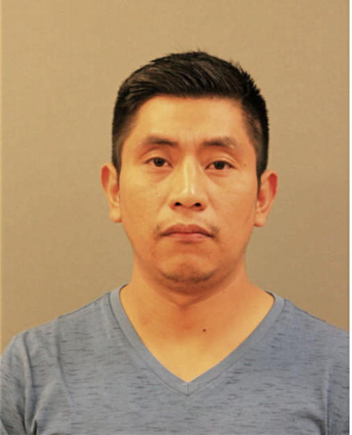 EDDI BRAVO, Cook County, Illinois