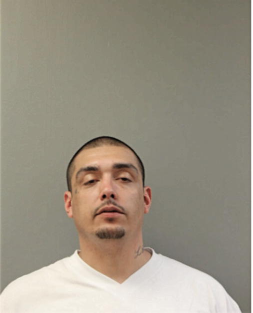 DAVID JESUS ELDEFONSO, Cook County, Illinois