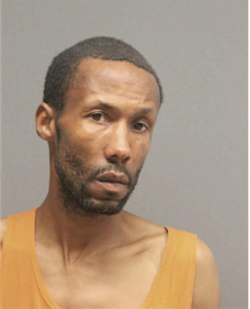 RONALD P FORD, Cook County, Illinois
