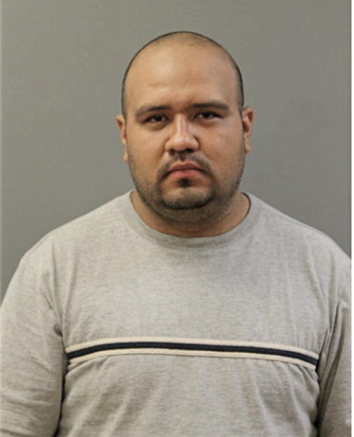 CARLOS G GARCIA RUBIO, Cook County, Illinois