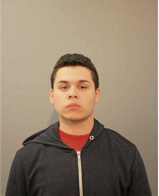 FABIAN GARCIA, Cook County, Illinois