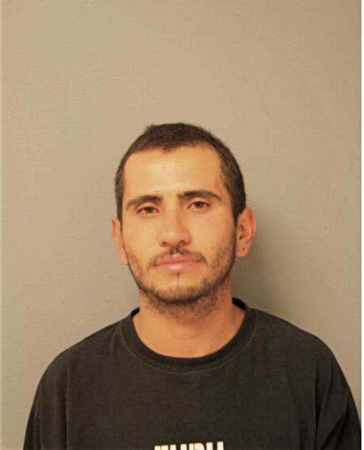 LUIS M GARCIA-SANCHEZ, Cook County, Illinois