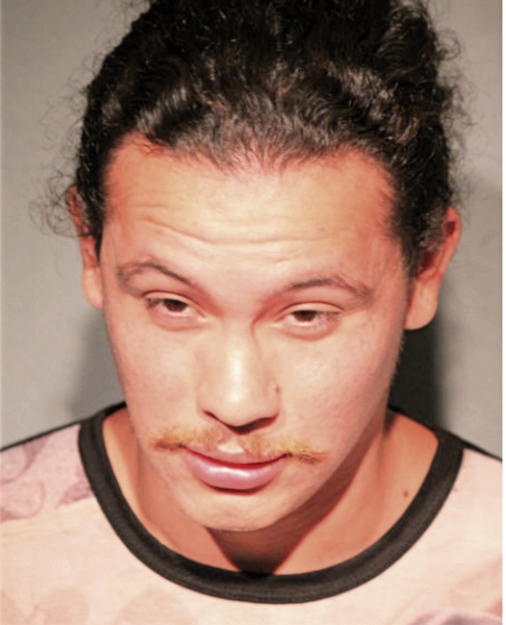 DANIEL GARIBAY, Cook County, Illinois