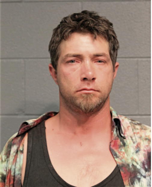 WILLIAM J GATES, Cook County, Illinois