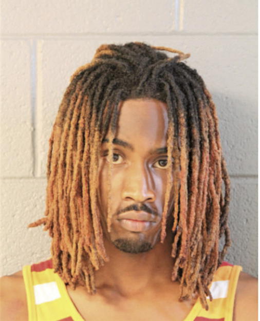 TERRANCE HAYES, Cook County, Illinois