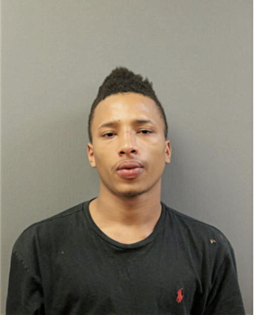 TYRESE K LEWIS, Cook County, Illinois