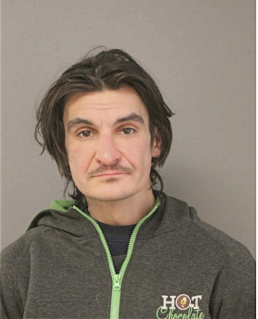 ANDREI MAIOR, Cook County, Illinois