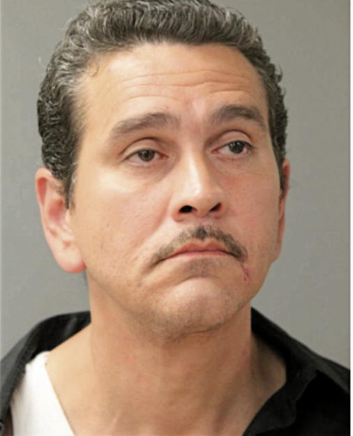 LUIS MALDONADO, Cook County, Illinois