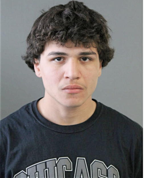 LUIS MELENDEZ, Cook County, Illinois