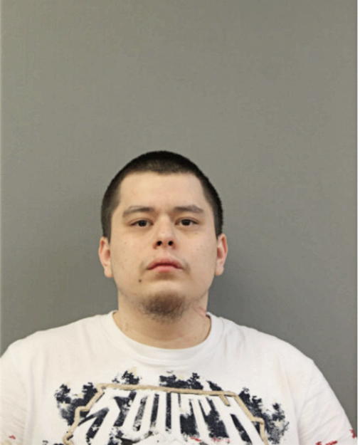 CARLOS J MORALES, Cook County, Illinois