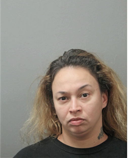 VIRGEN MARIA REYES, Cook County, Illinois