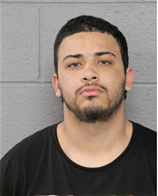 LUIS O RODRIGUEZ, Cook County, Illinois