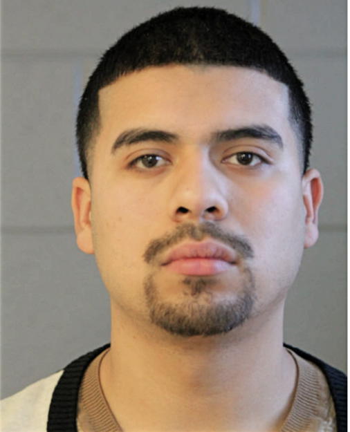 VILMER ALCARAZ, Cook County, Illinois
