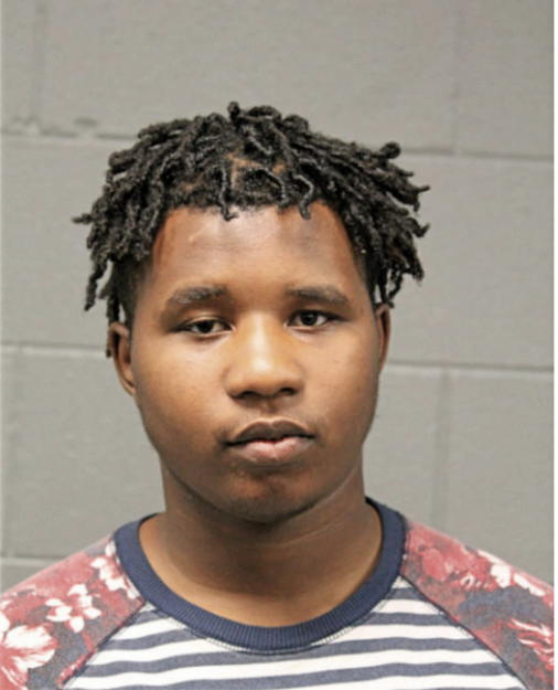 DAVIEN J BINION, Cook County, Illinois