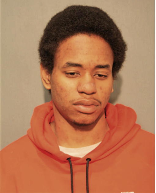 DANEE R BREWER, Cook County, Illinois